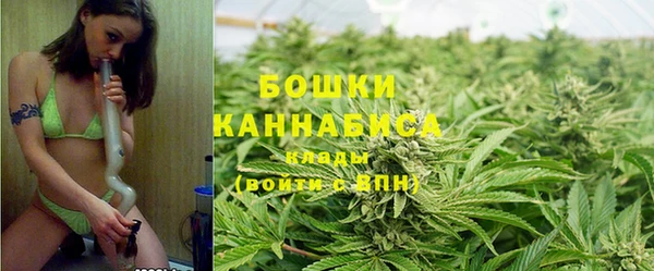 гидра Краснослободск