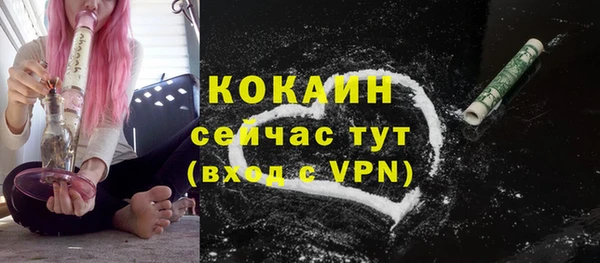 сатива Краснотурьинск