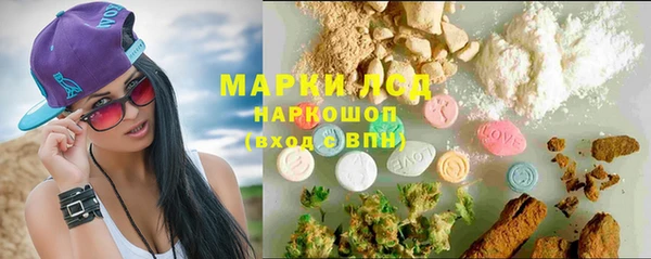 гидра Краснослободск