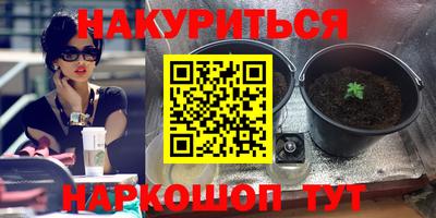 PSILOCYBIN Апшеронск