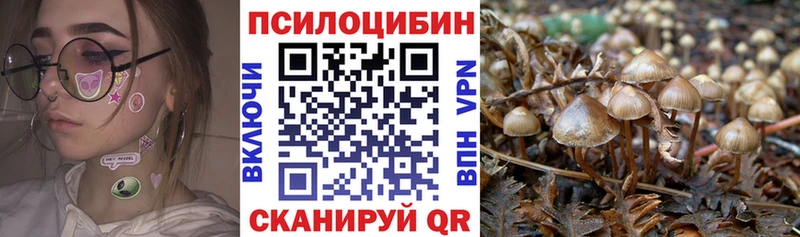 Галлюциногенные грибы мицелий  KRAKEN вход  Малгобек 