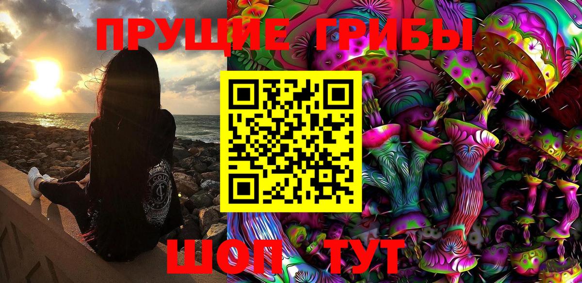 Галлюциногенные грибы прущие грибы  Вход с VPN  Малгобек 